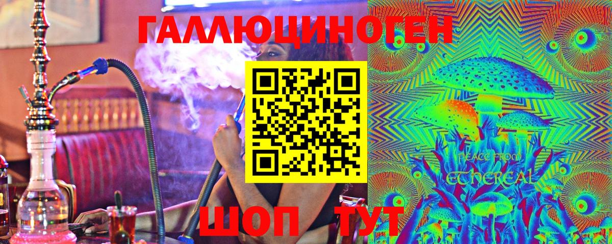 Галлюциногенные грибы Psilocybe Норильск